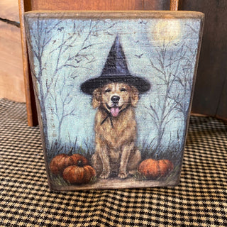 Dog Witch Shelf Sitter