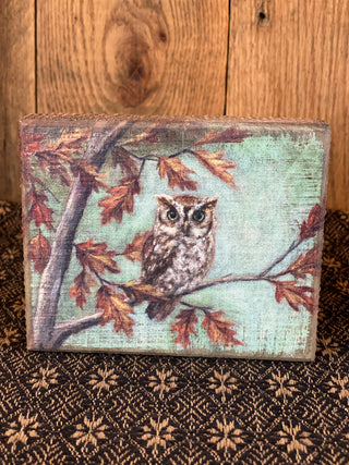 Fall Owl